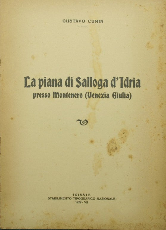 La piana di Salloga d'Idria presso Montenero (Venezia Giulia)