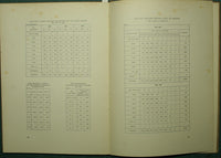 La población de Trieste 1875-1928